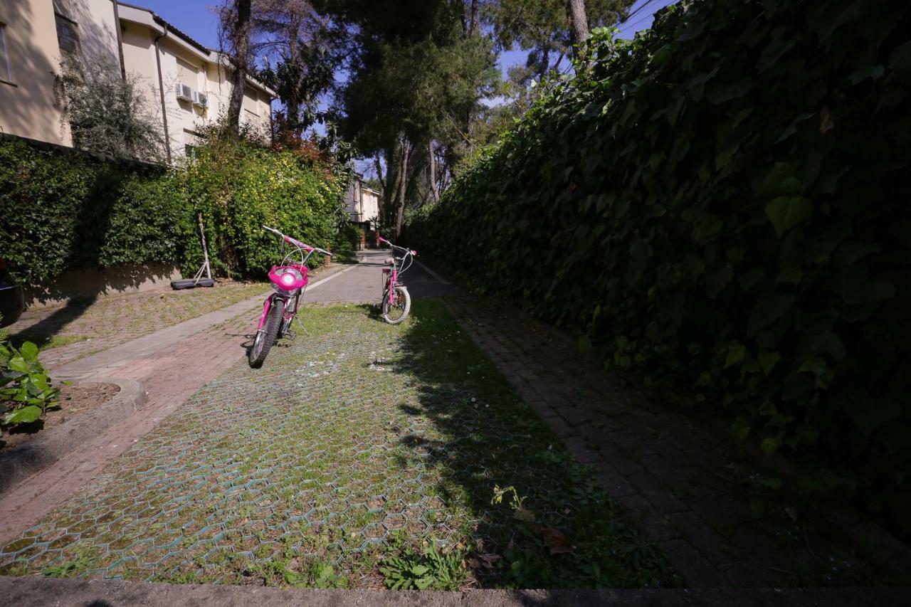 Apartment Pine-tree W/ Private Garden 50 M From The Sea Golem (Tirana)