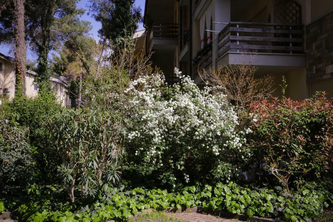 Pine-tree W/ Private Garden 50 M From The Sea Apartment