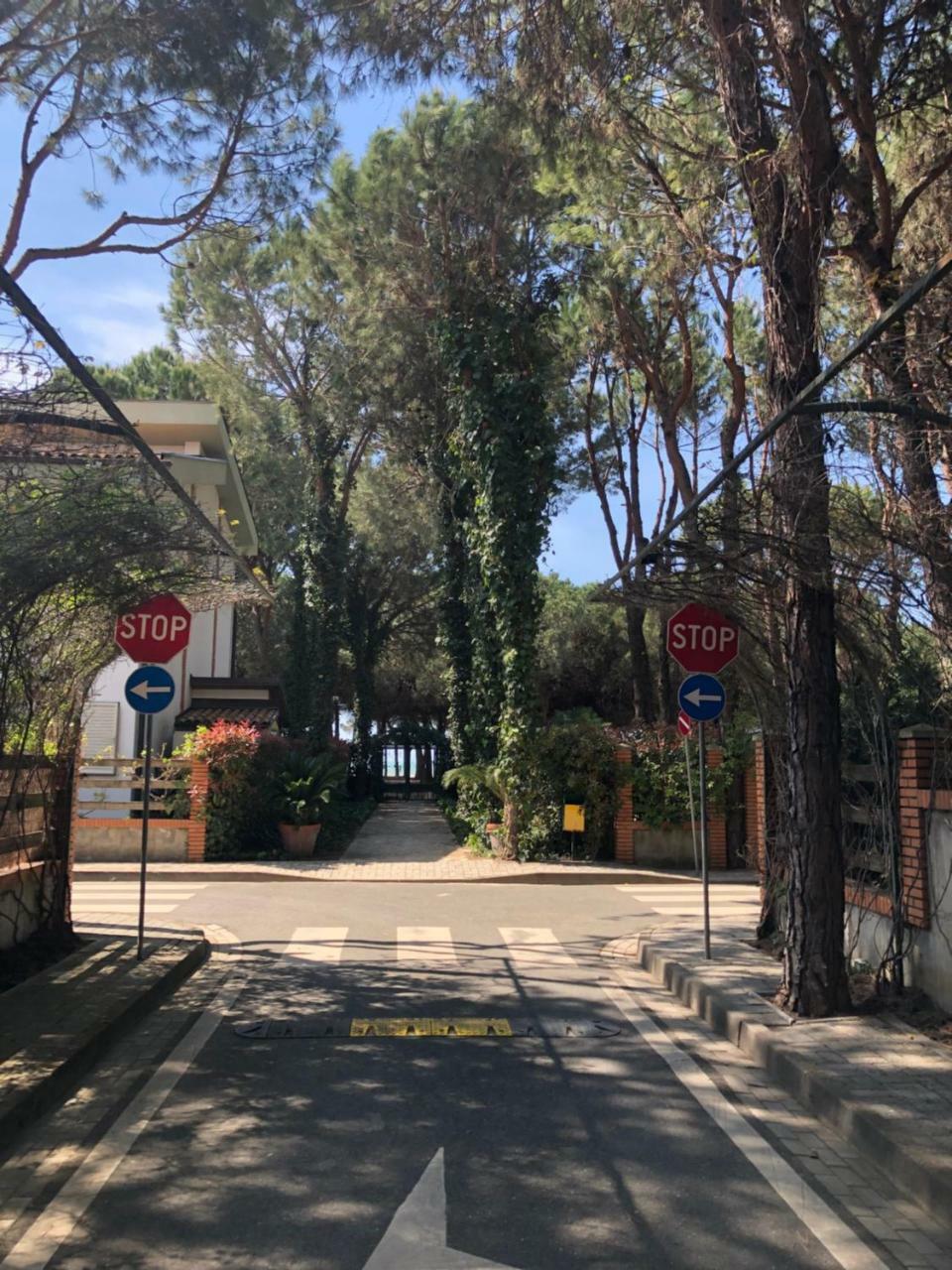 Pine-tree W/ Private Garden 50 M From The Sea * Golem (Tirana)