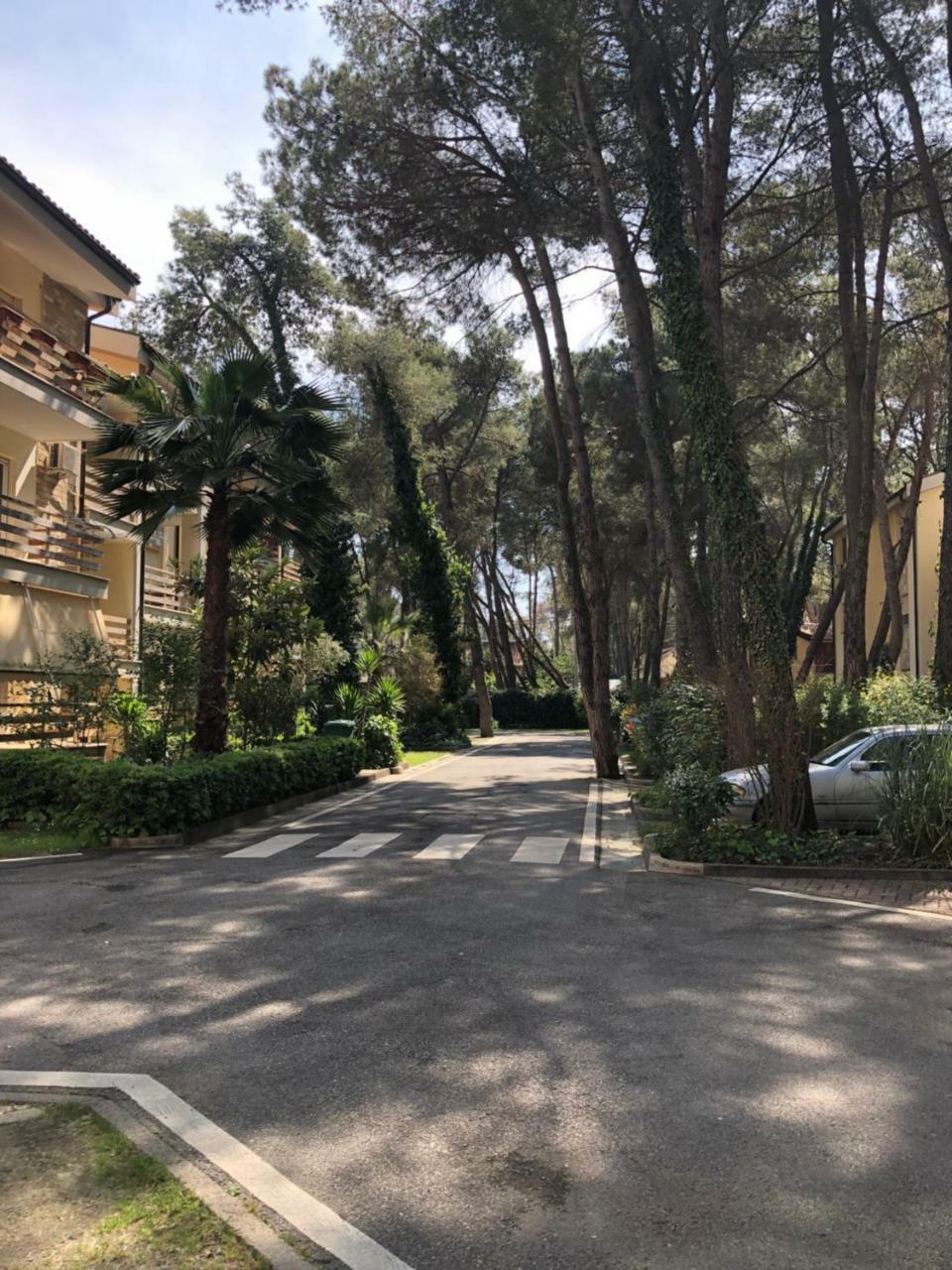 Apartment Pine-tree W/ Private Garden 50 M From The Sea Golem (Tirana)