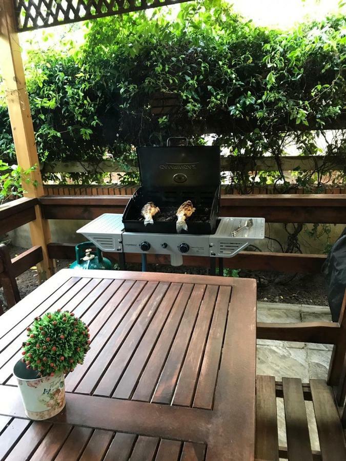 Apartment Pine-tree W/ Private Garden 50 M From The Sea *