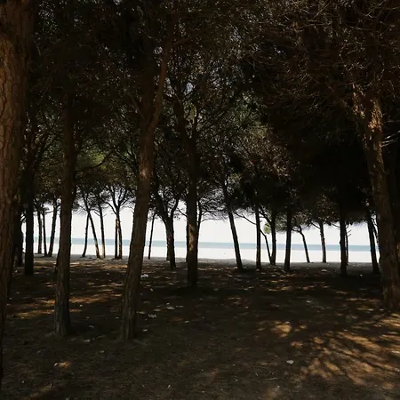 Pine-Tree Apt W/ Private Garden 50 M From The Sea Golem  Exterior photo