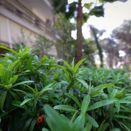 Pine-Tree Apt W/ Private Garden 50 M From The Sea Golem  Exterior photo