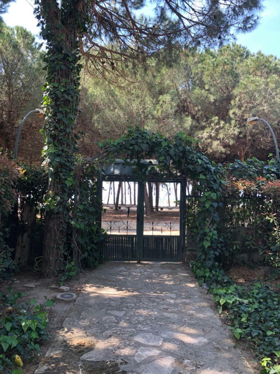 Appartement Pine-tree W/ Private Garden 50 M From The Sea