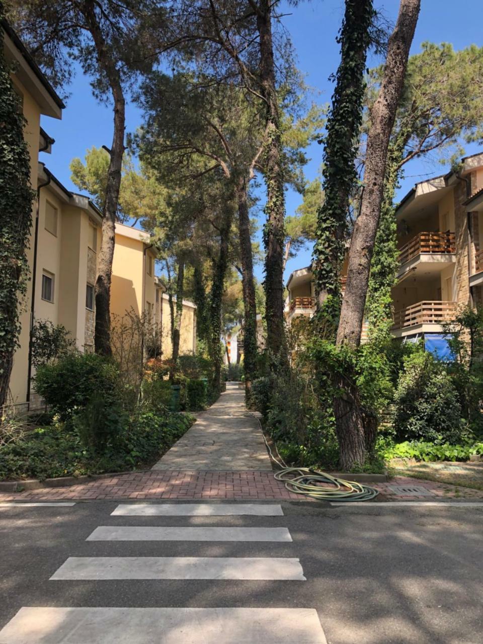 Pine-tree W/ Private Garden 50 M From The Sea Golem (Tirana)